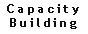 Capacity Building