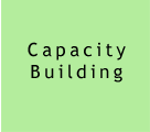 Capacity Building