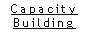 Capacity Building