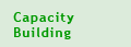 Capacity Building