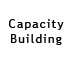 Capacity Building